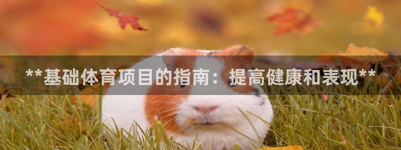 星欧娱乐最建议买的三个产品是什么呢