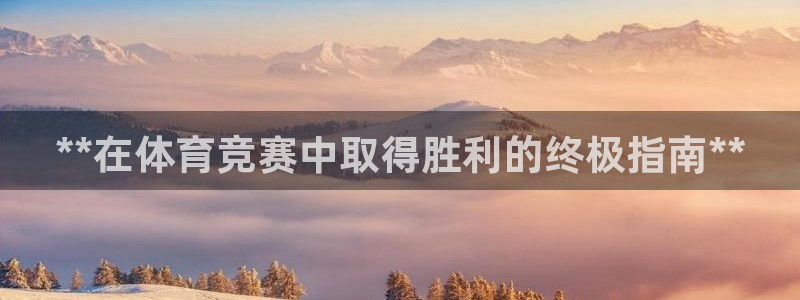 星娱乐文化传媒有限公司