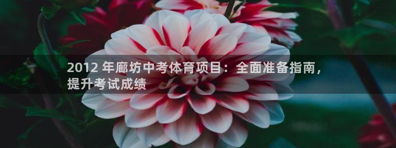 星澳娱乐公司简介