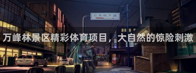 星欧娱乐挂机教程