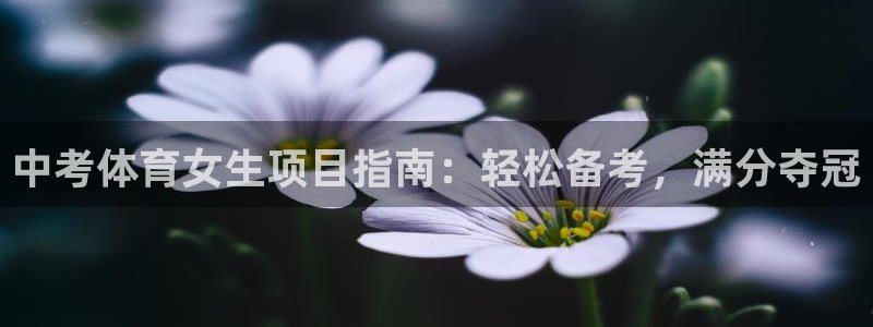 永韬星娱乐