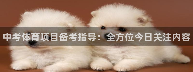星欧娱乐彩票软件下载官网
