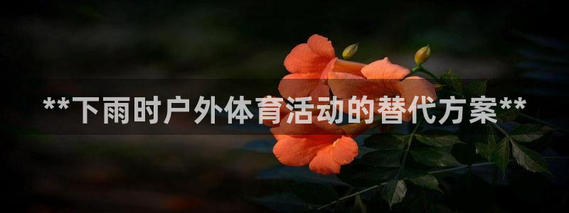 星欧娱乐平台怎么样啊安全吗