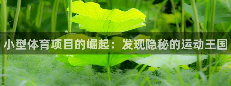 星奥娱乐招聘