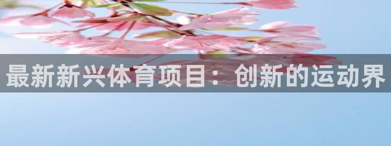 永韬星娱乐