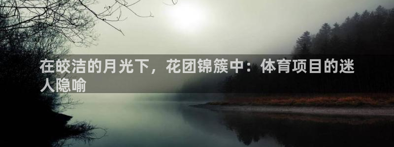 星欧娱乐app最新版本更新内容下载