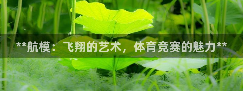 星奥娱乐怎么样