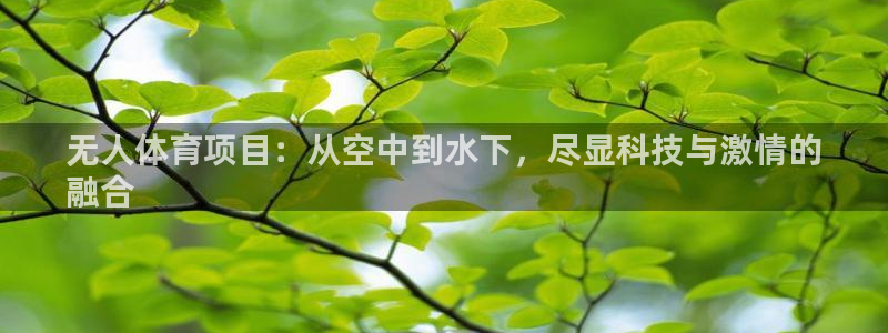 星欧娱乐挂机赚钱