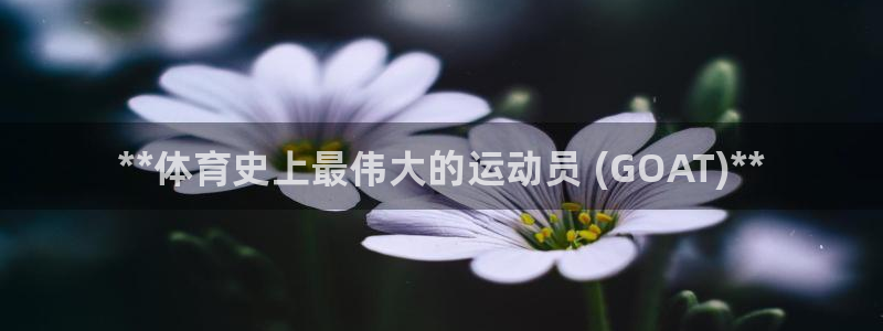 江苏星奥娱乐有限公司怎么样