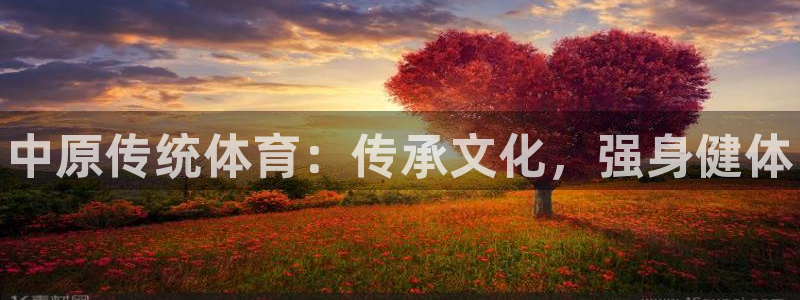 星欧娱乐平台测速线路怎么设置