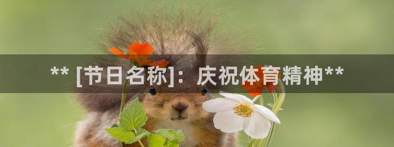 星欧娱乐最建议买的三个产品