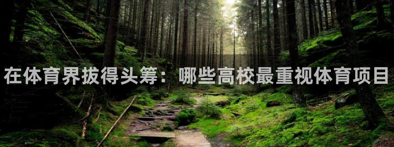 星欧娱乐公司创始人背景故事介绍