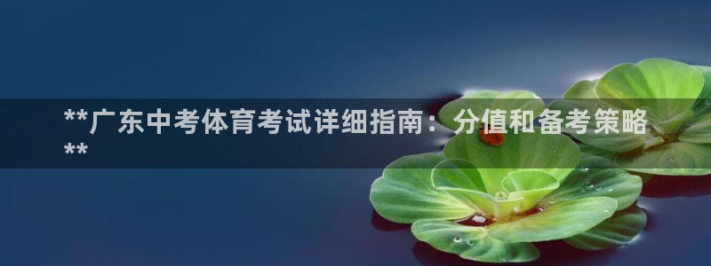 星奥娱乐怎么样