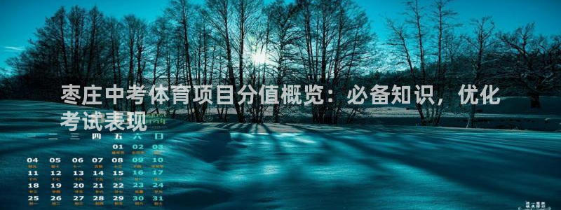 星欧娱乐扣款时间查询方法