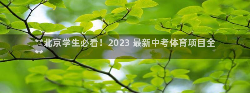 星欧娱乐联售后服务评价