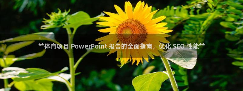 星欧娱乐挂机教程下载