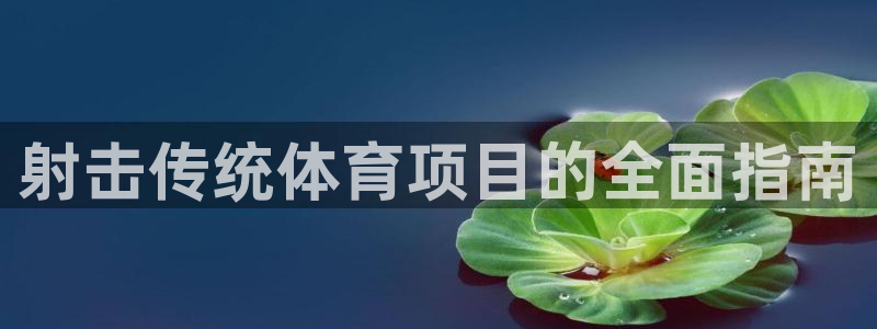 星欧娱乐挂机赚钱是真的吗