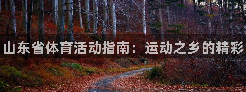 星欧娱乐公司创始人背景故事介绍