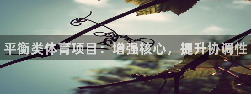 星欧娱乐平台怎么样啊可靠吗