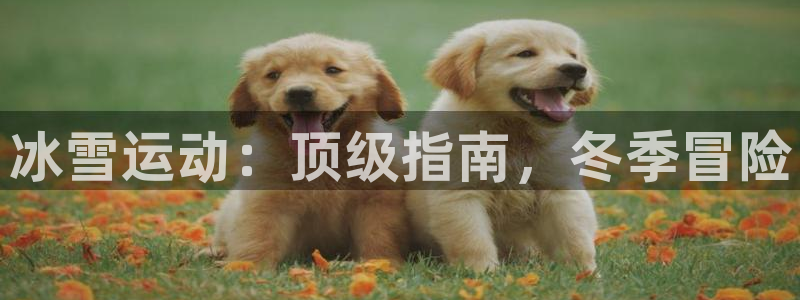 星欧娱乐属于什么档次的公司