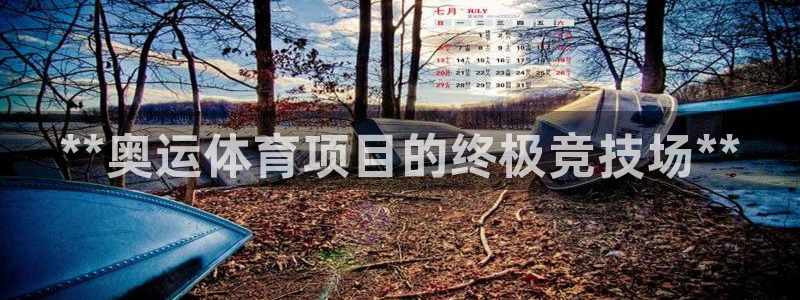 星欧娱乐联最新功能介绍