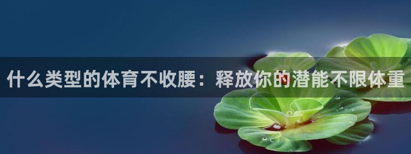 星欧娱乐的创始人背景故事介绍