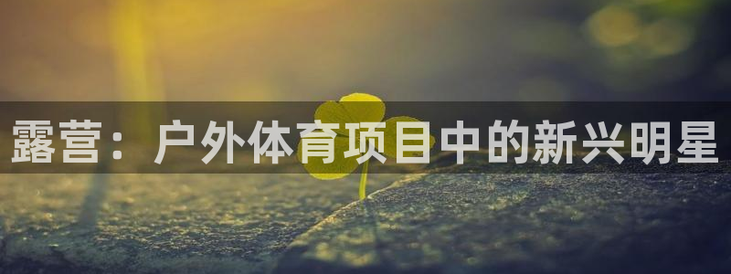 星欧娱乐官方客服联系方式是什么