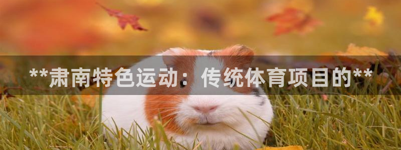 星欧娱乐最建议买的三个产品是哪三个