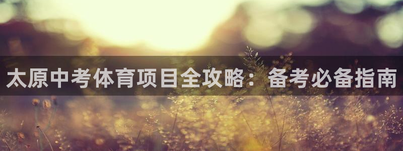 星欧娱乐公司创始人背景故事