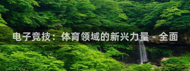 星欧娱乐公司创始人背景故事简介