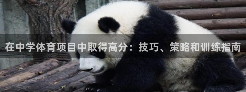 星欧娱乐平台怎么样